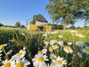 logeren bij de boer, kamperen bij de boer, overnachten bij de boer, boerenvakantie