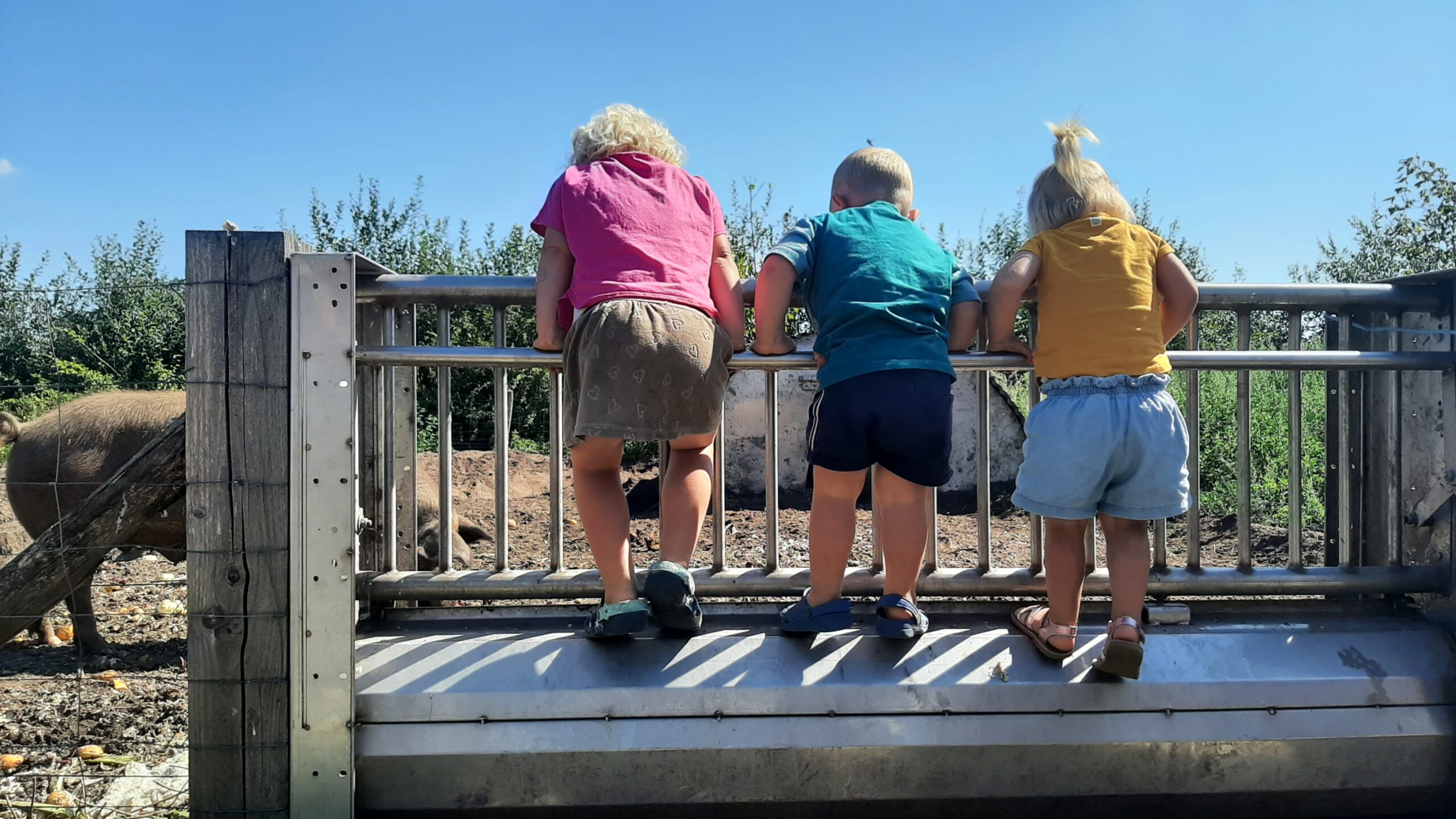 open dag boerderij