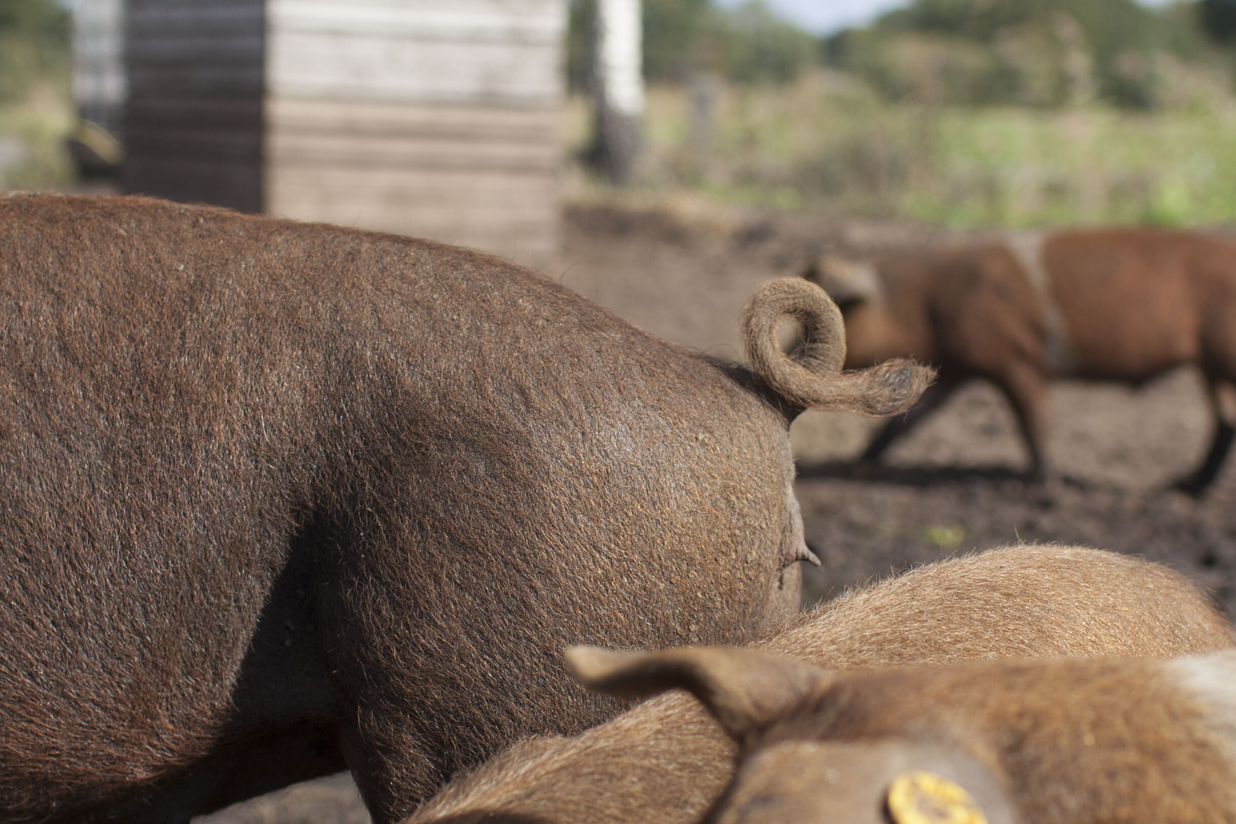 bezorg- en retourbeleid