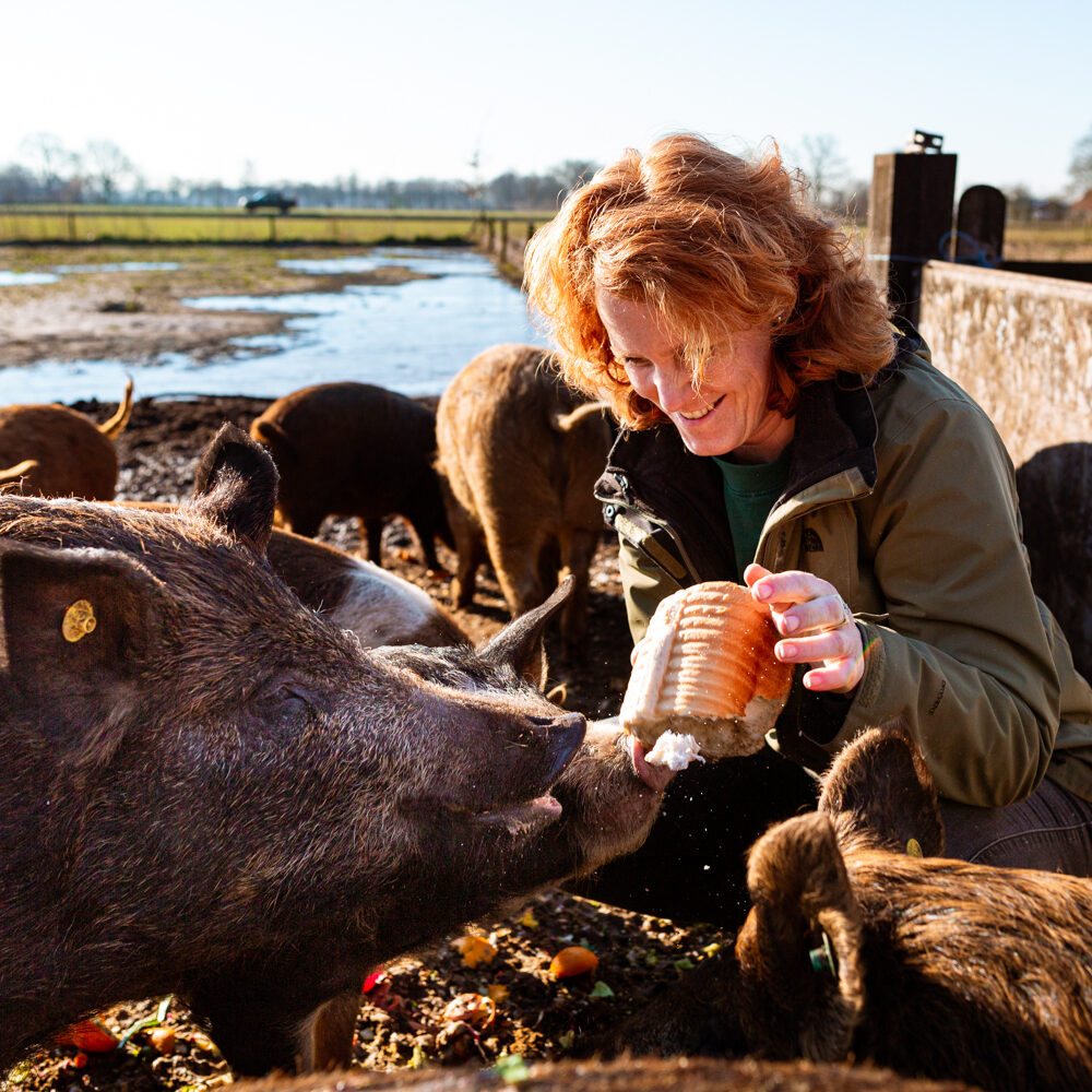 Inge Vleemingh duroc