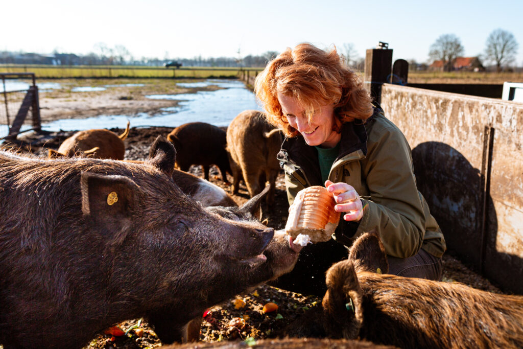 Inge Vleemingh duroc