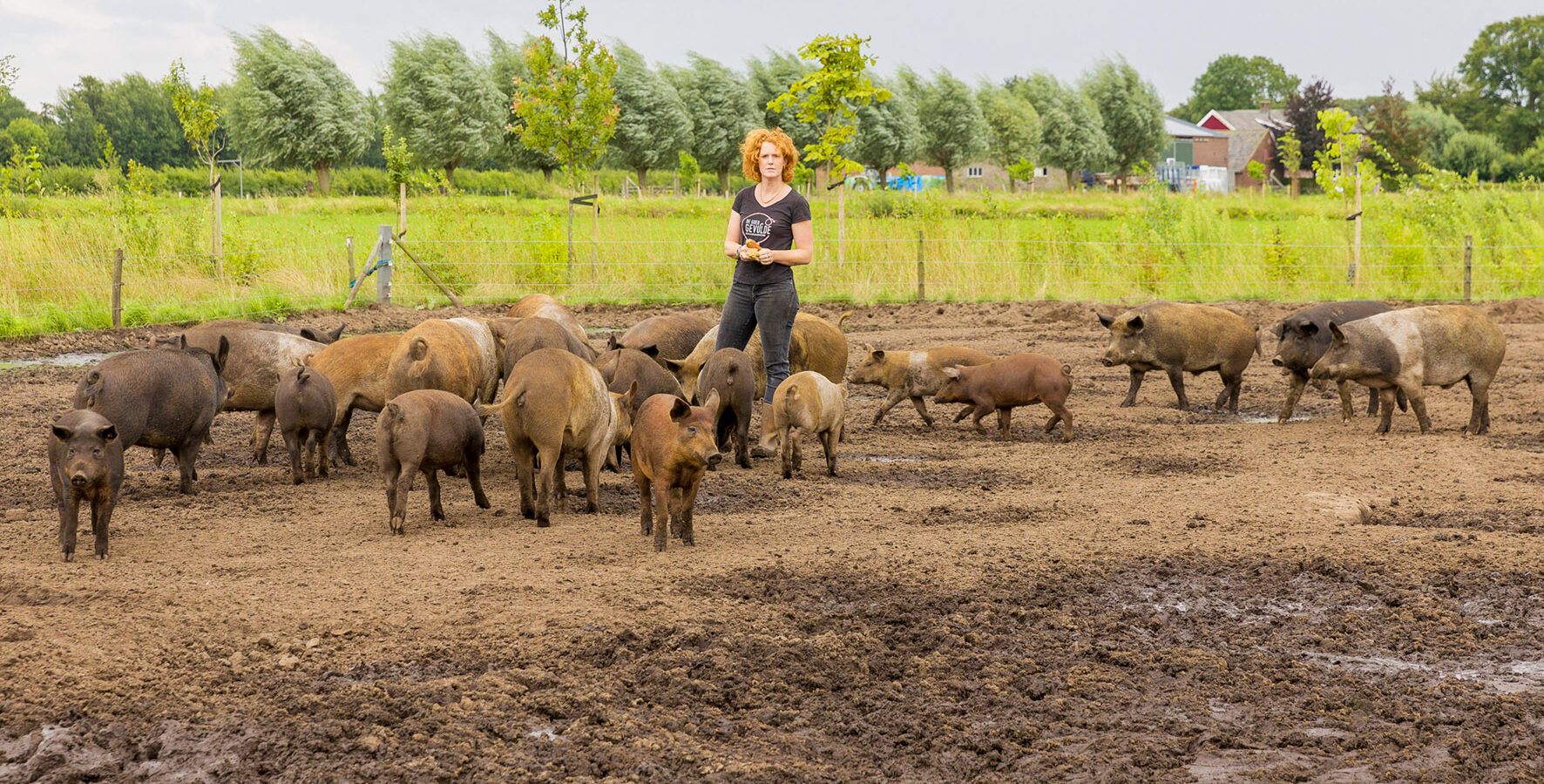 Kringlooplandbouw varkensvlees